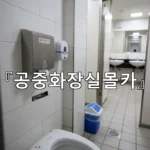 legal image 공중화장실몰카 2480