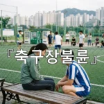 legal image 축구장불륜 4123