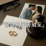 legal image 협의이혼중외도 4695